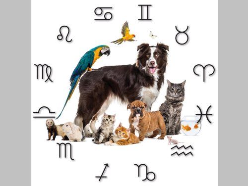 Horoskop für Haustierfreunde vom 03. April - 09. April 2023