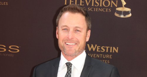Where Is Chris Harrison Today? Inside His Life Post-'The Bachelor'