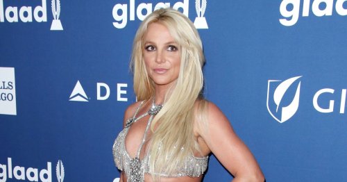 Britney Spears Reacts to Police Wellness Check By Fans: 'Too Far'