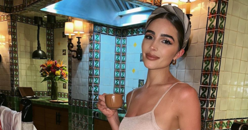 Olivia Culpo Shades American Airlines With Sexy Dress After Cover Up Request