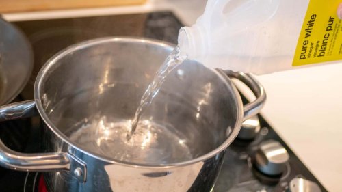 Remove Odors From Your Entire Home by Simmering Vinegar
