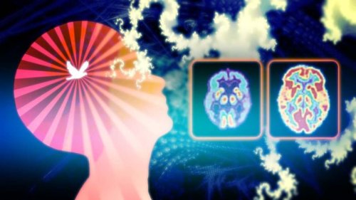 What Happens to the Brain When You Meditate