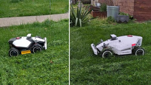 Some of My Favorite Smart Home Products Are Getting Smaller Models
