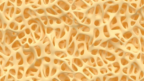 Phosphat: Was sagt der Laborwert über die Gesundheit?