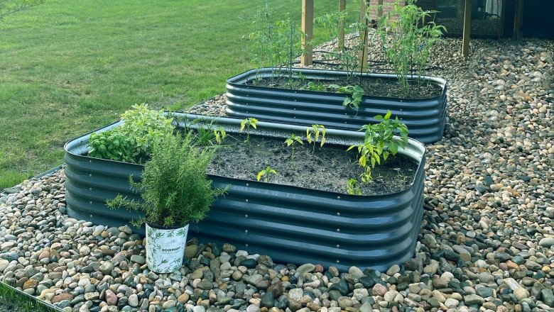 A Simple Guide about Raised Garden Beds