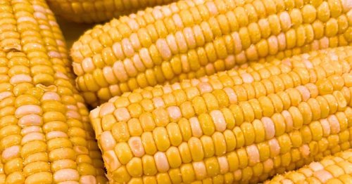 6 Must-Try Summer Corn Recipes for Easy Backyard BBQ Sides