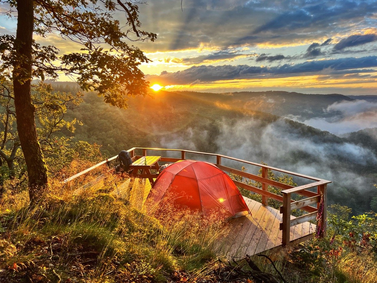 Trekkingplätze an der Mosel – alle Infos, Tipps und Tricks