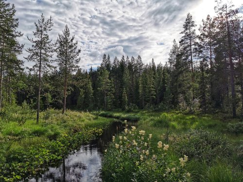 Bergfest in Schweden - Menschen, Bilder, Emotionen - Fika und Frischluft Teil 4 - Little Red Hiking Rucksack - Wandern I Trekking I Nachhaltigkeit - der Outdoorblog
