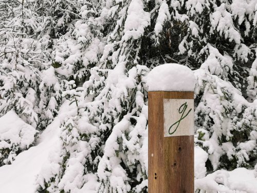 Winterwandern in Thüringen – auf dem Goethewanderweg von Stützerbach nach Ilmenau