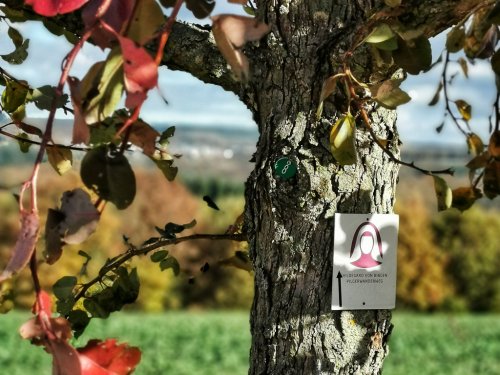 Meet Hildegard - unterwegs auf dem Hildegard-von-Bingen-Pilgerwanderweg - Little Red Hiking Rucksack - Wandern I Trekking I Nachhaltigkeit - der Outdoorblog