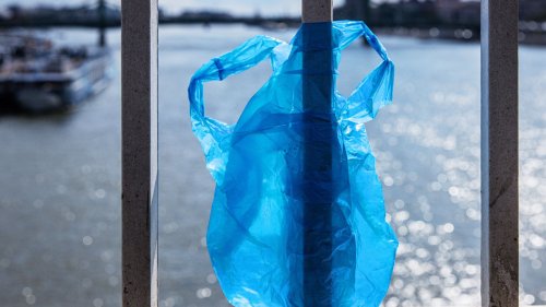 After 14 Years, Police Arrest Woman Who Allegedly Wrapped Baby In Plastic Bag & Put It In River