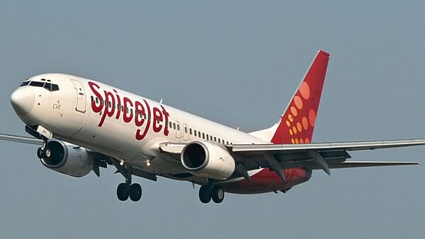 SpiceJet Q2 loss deepens as forex, grounded fleet weigh on earnings