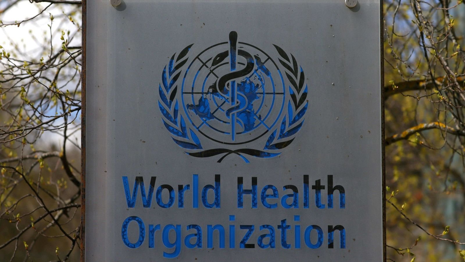 Covid-19 could help build strong health systems: WHO