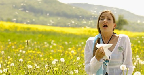 Hay fever sufferers beware as 'pollen bomb' set to hit