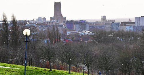 Thousands come here and see the best view in the city but we feel embarrassed