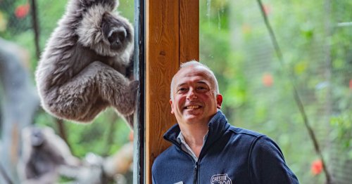 Chester Zoo boss fears new law could be 'extremely damaging'