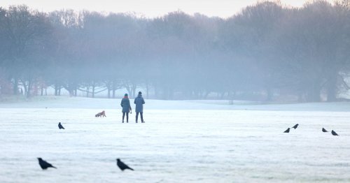 Government steps in after Met Office issues rare 'severe' weather warning