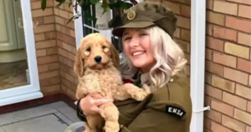 Couple scammed as 'mini cockapoo' grows to size of baby rhino
