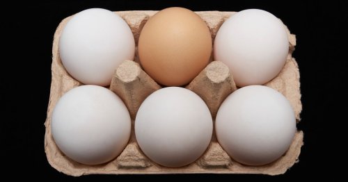 ITV Good Morning Britain hosts taken aback as warning issued to anyone who buys eggs