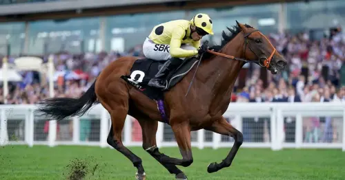 Horse Power: Rosallion to win Lockinge Stakes at Newbury