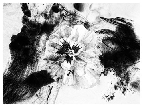 Carole Tauziat - The Eye of Photography Magazine