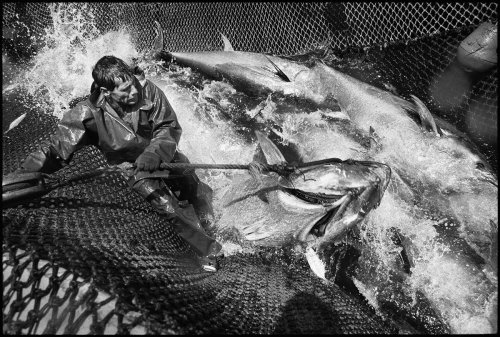 Musée National de la Marine : Jean Gaumy et la mer - L'Œil de la Photographie Magazine