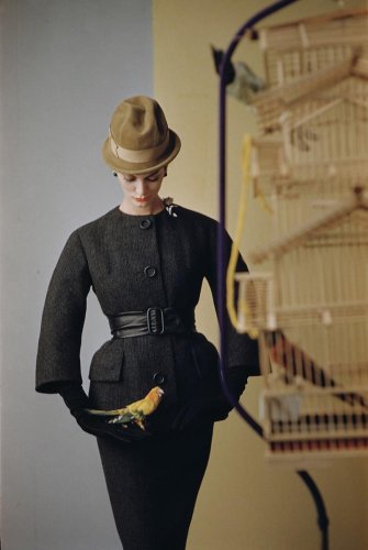 28 Vignon Street : Animals - L'Œil de la Photographie Magazine