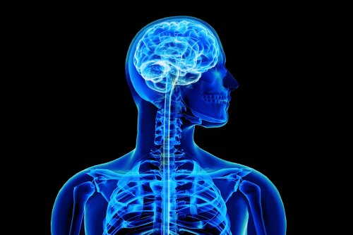 Modulo Bio lands $4.8m ADDF investment to advance dementia drug