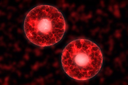 NewLimit restores ‘youthful function’ to liver and immune cells