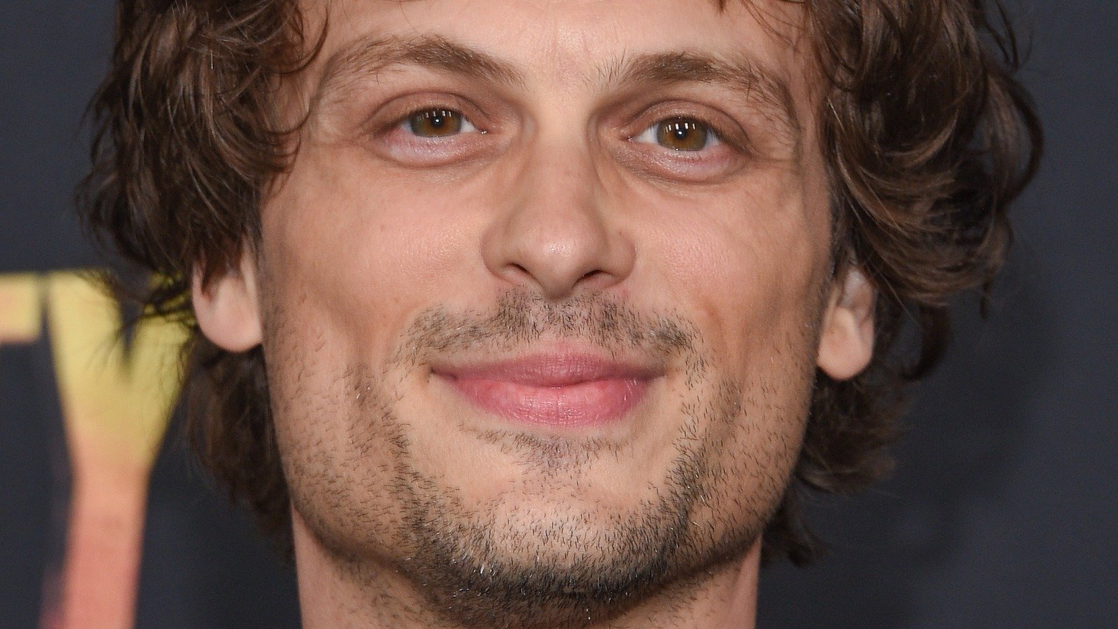 Is Spencer Reid In Criminal Minds: Evolution? | Flipboard
