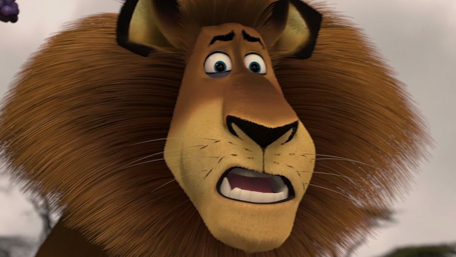 The 60 Minutes Host You Didn't Realize Had A Part In Madagascar: Escape 2 Africa