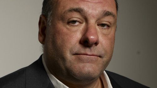 What Did The Mob Family Who Allegedly Inspired The Sopranos Really Think About The Show? - Looper