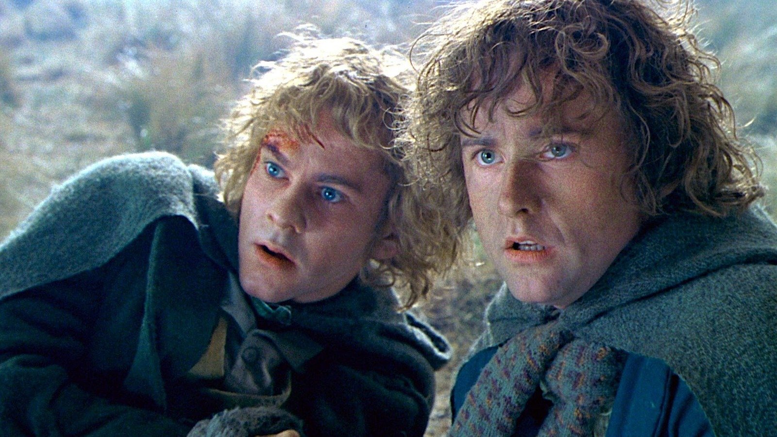 Lord Of The Rings: What Happened To Merry & Pippin In The End? (Prepare To Cry) 