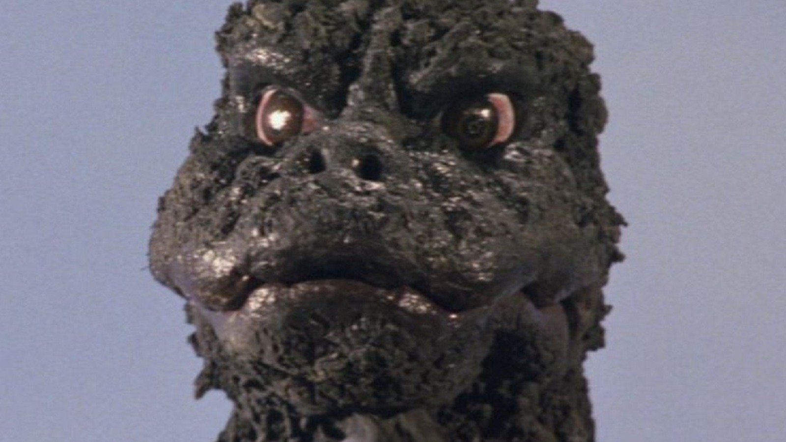 Our Resident Expert Answers The World's Hardest Godzilla Questions