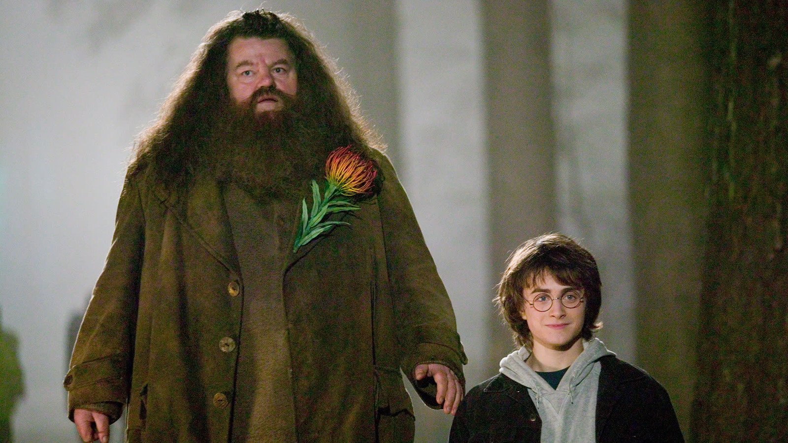 What House Was Hagrid In Before Harry Potter? - cover