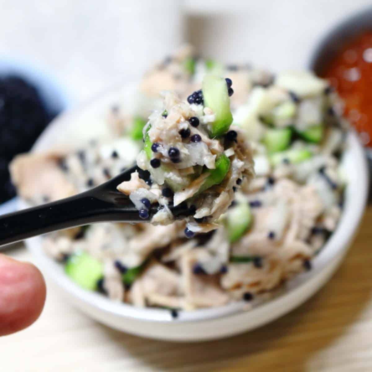 Low Carb Tuna Salad with no mayo