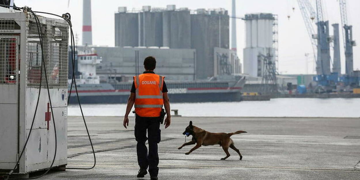 Cocaïne : économie grise et poudre blanche dans les ports européens