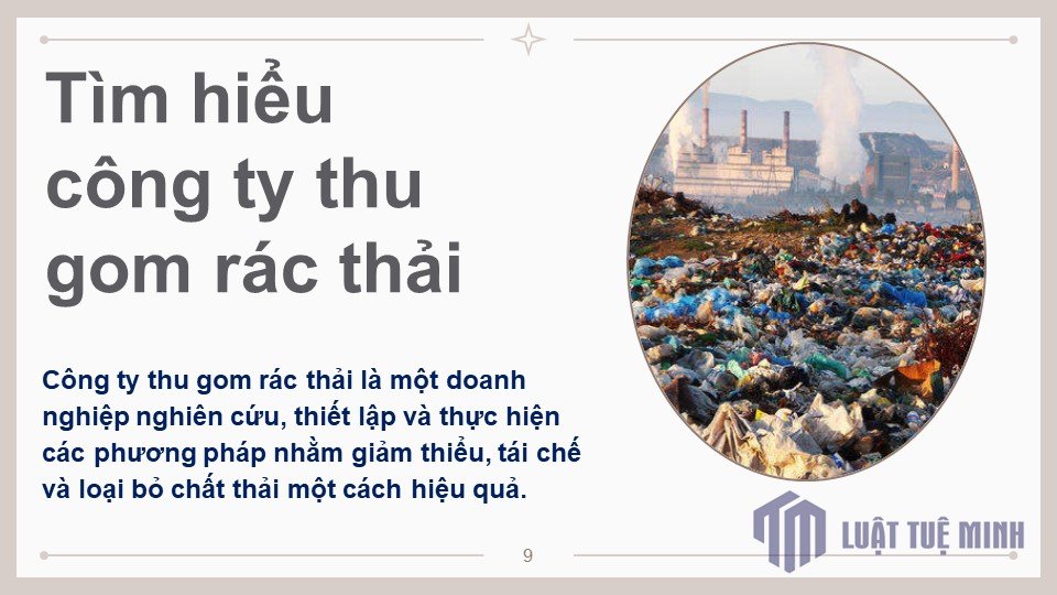 Luật Tuệ Minh sẽ hướng dẫn bạn từ các bước cơ bản  - cover