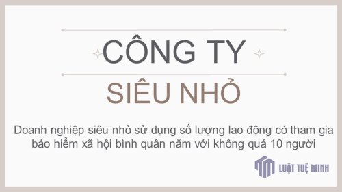 Thành lập công ty siêu nhỏ dành cho người mới khởi nghiệp