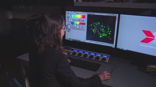Researchers Working Toward A Cure For Type 1 Diabetes