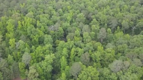 Georgia wildlife preserve closes to public