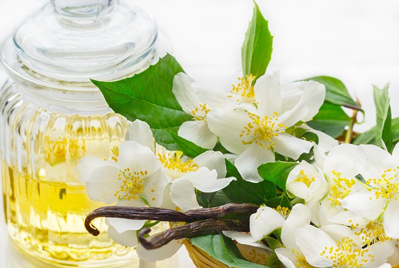 10 Best Jasmine Perfumes for women and men