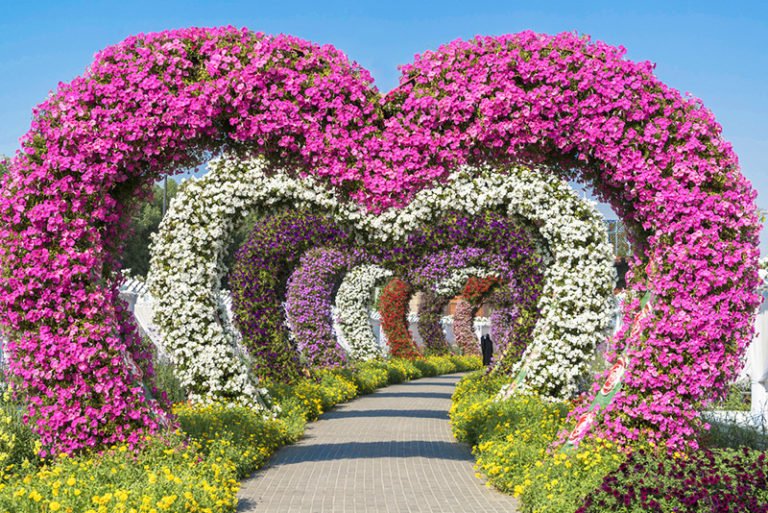 THE MOST BEAUTIFUL GARDENS IN THE WORLD