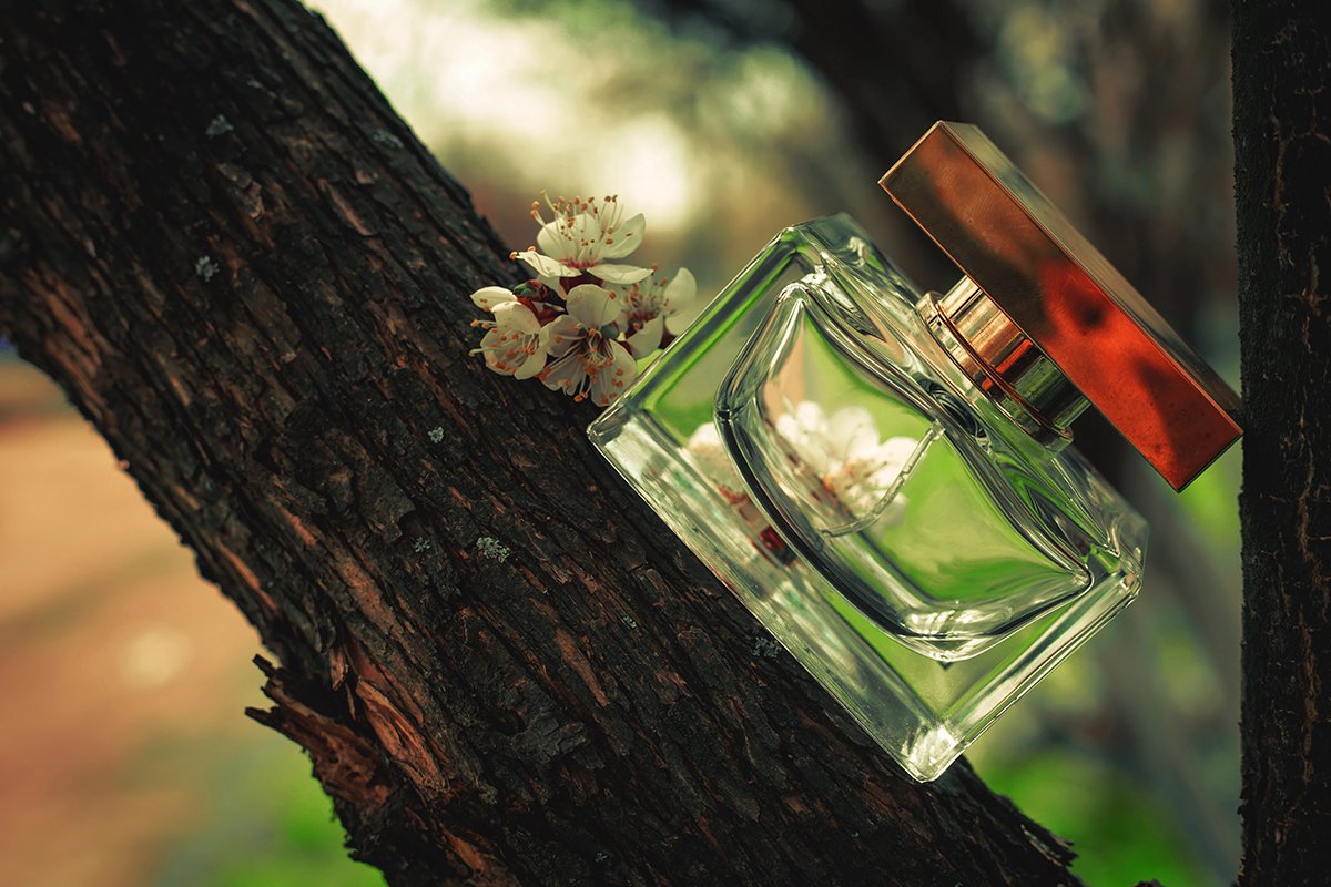 The Ultimate Guide to Spring Fragrances for Men (2025)