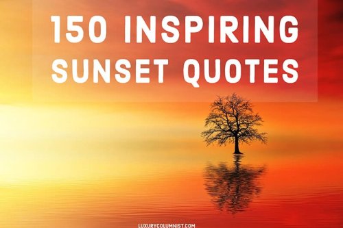 Sunset Captions For Instagram: 160 Best Sunset Quotes And Sayings
