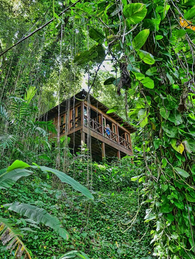 6 Fun Things To Do in Portland, Jamaica