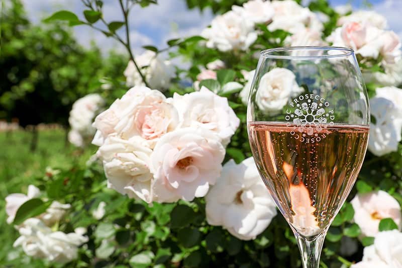 Pink Prosecco DOC Rosé: The Sparkling New Wine Craze