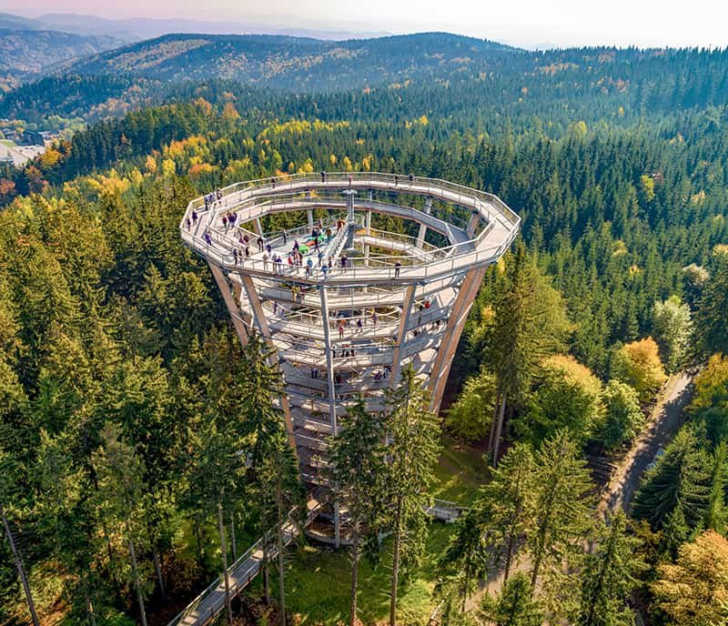 THE BEST CANOPY WALKWAYS IN THE WORLD - cover