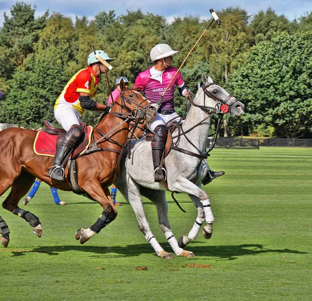 Learning How To Play Polo Like A Pro