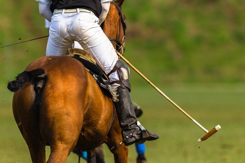 21 Most Expensive Hobbies in the World